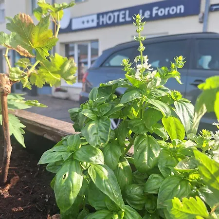 Hotel Le Foron La Roche-sur-Foron
